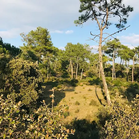 Villa Maison Des Clématites, Standing Et Neuf